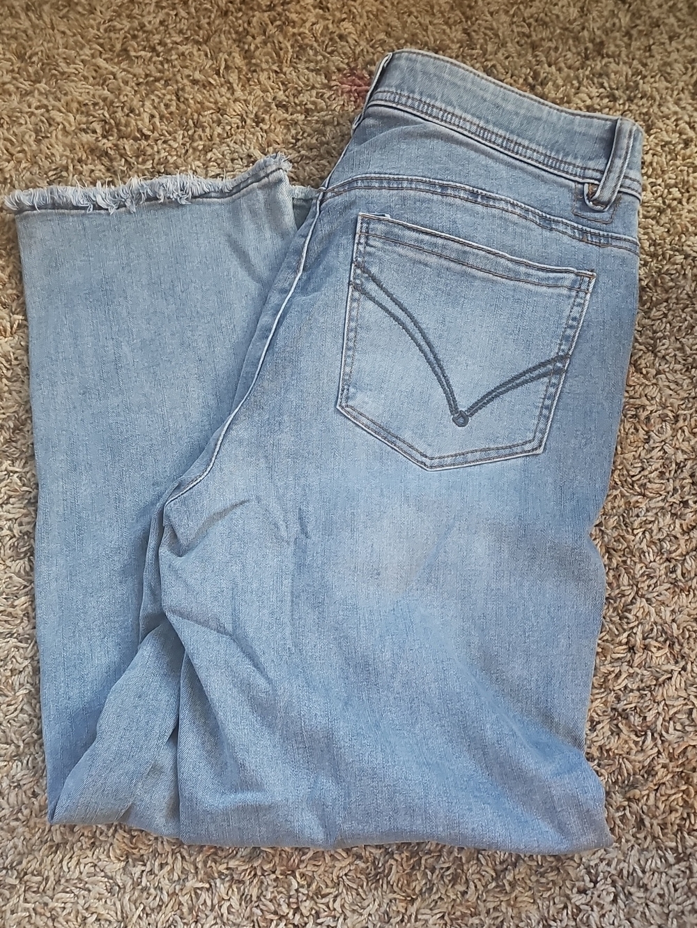 Democracy Light Wash Cropped Ankle Jeans